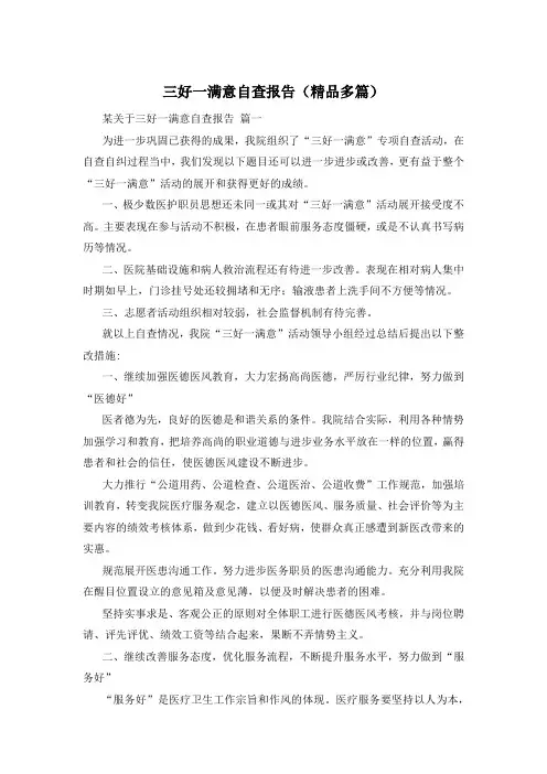三好一满意自查报告(精品多篇)