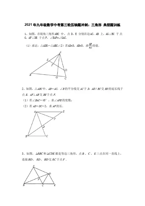 2021年九年级数学中考第三轮压轴题冲刺：三角形 典型题训练