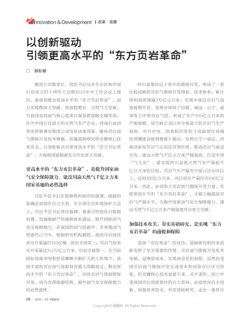 以创新驱动引领更高水平的_“东方页岩革命”