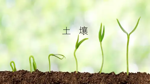 人教版高一 地理 必修一 第五章 第二节 土壤 课件