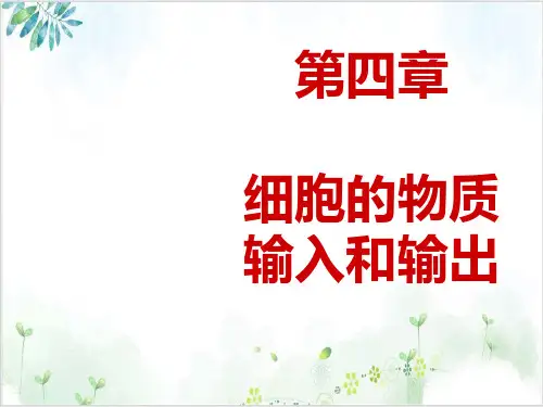 人教版必修1生物物质跨膜运输的实例(38张)-PPT优秀课件