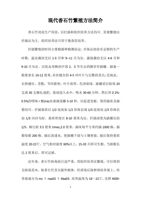 现代香石竹繁殖方法简介