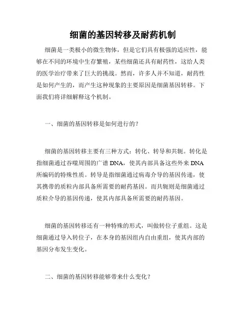 细菌的基因转移及耐药机制