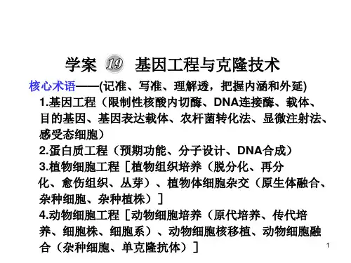 基因工程细胞工程胚胎工程