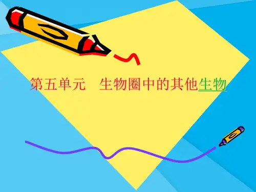 水中生活的动物PPT课件9 人教版优秀课件