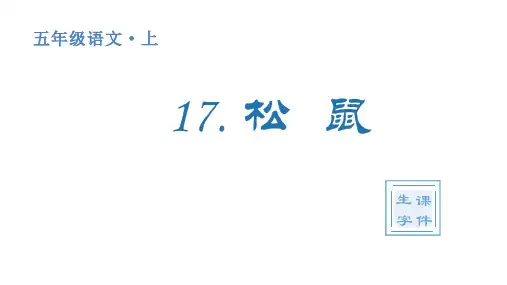 人教统编版小学五年级上册语文生字课件 17 松鼠