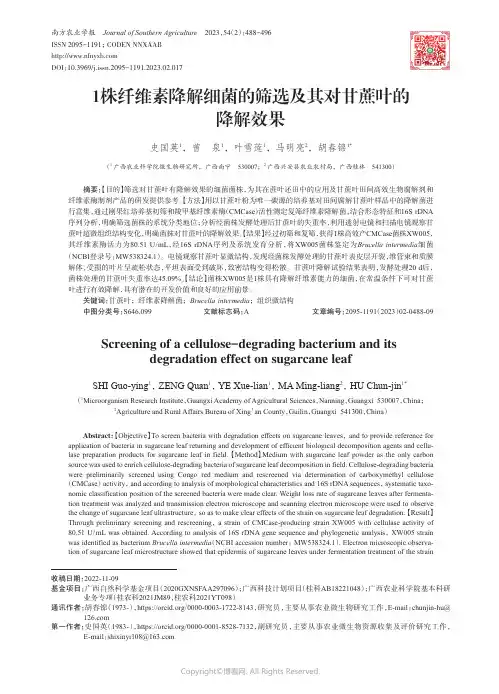 1株纤维素降解细菌的筛选及其对甘蔗叶的降解效果