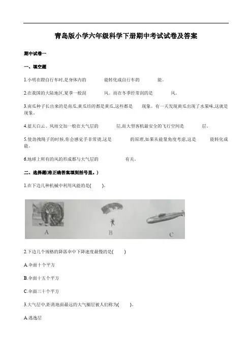 青岛版小学六年级科学下册期中考试试卷及答案