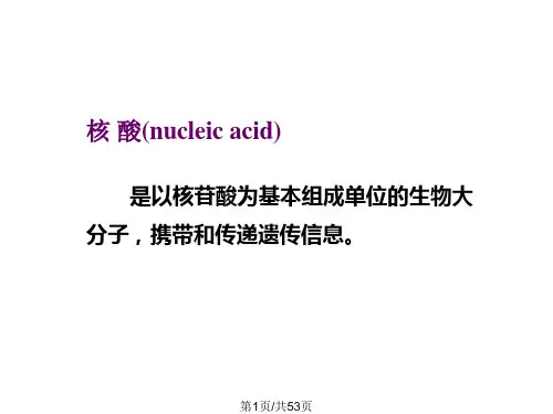 核酸结构与功能liu