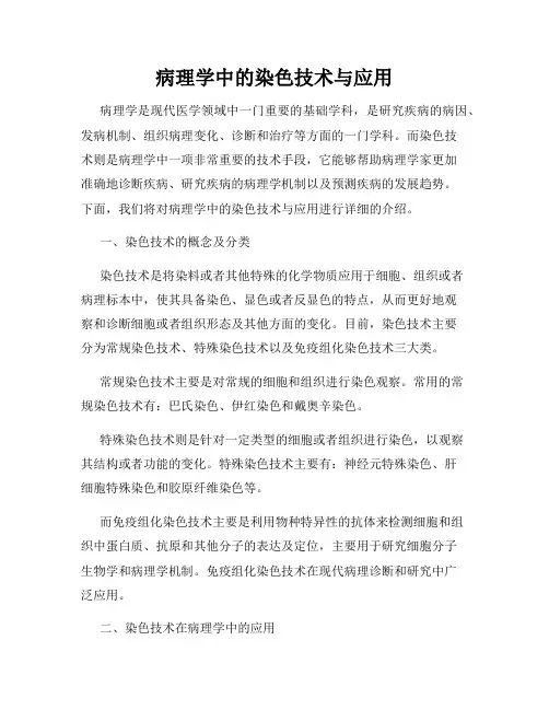 病理学中的染色技术与应用