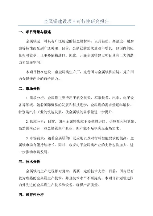 金属镁建设项目可行性研究报告