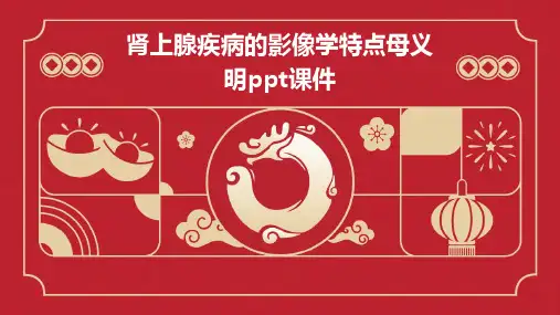 肾上腺疾病的影像学特点母义明PPT课件