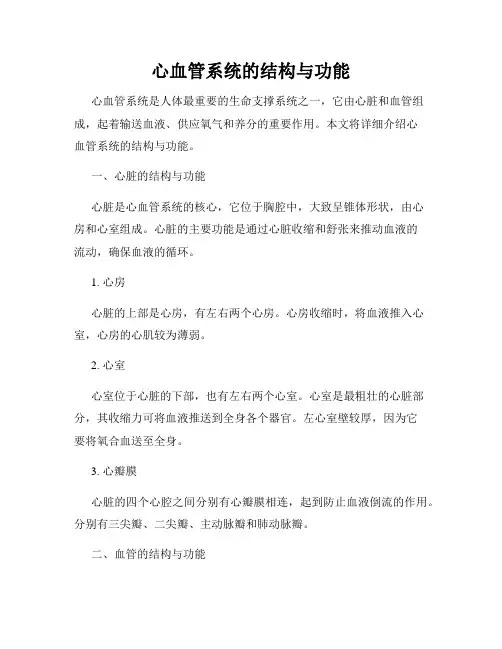 心血管系统的结构与功能