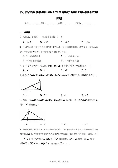 四川省宜宾市翠屏区2023-2024学年九年级上学期期末数学试题