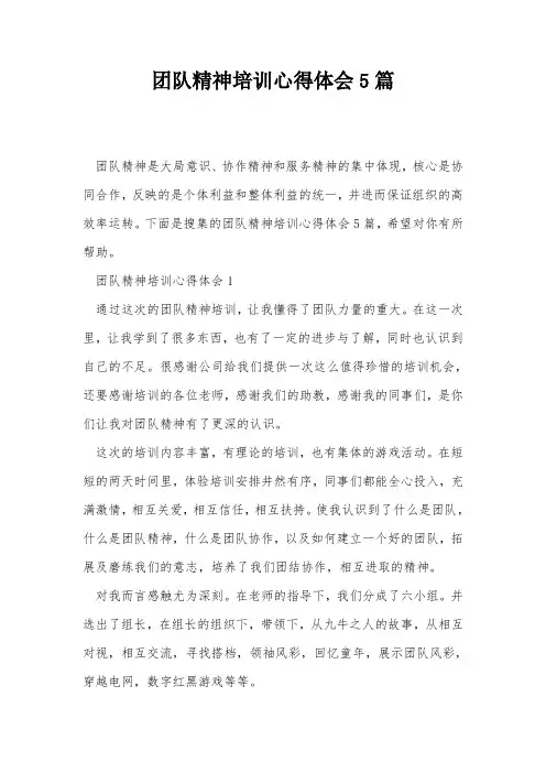 团队精神培训心得体会5篇