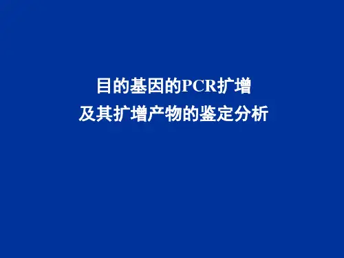 PCR详细