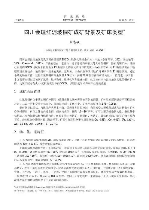 四川会理红泥坡铜矿成矿背景及矿床类型