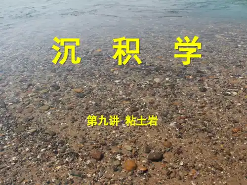 第九讲 粘土岩