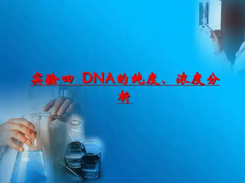04DNA的纯度浓度分析