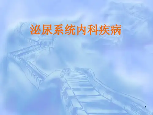 肾脏病基础知识PPT演示课件
