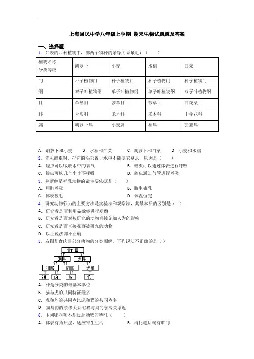上海回民中学八年级上学期 期末生物试题题及答案