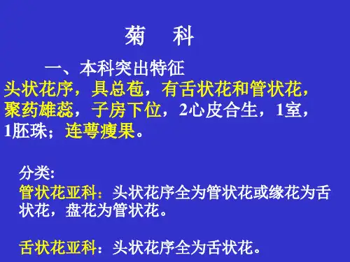 27菊科