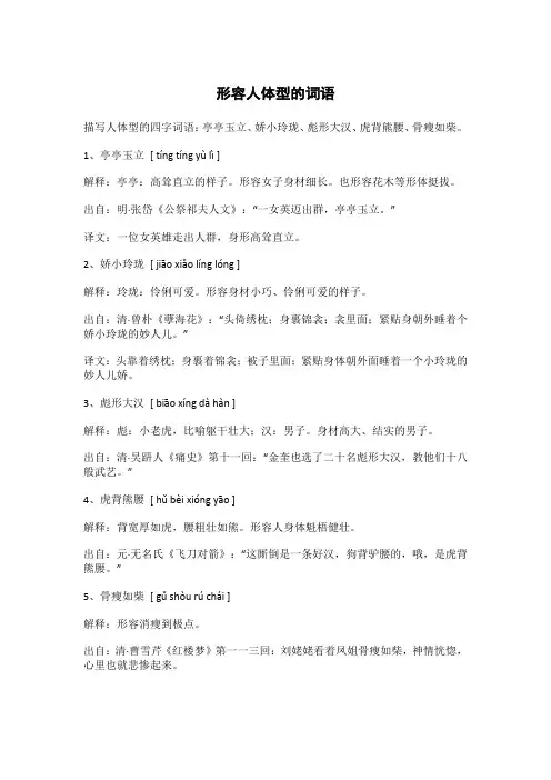 形容人体型的词语