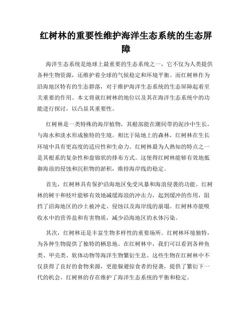 红树林的重要性维护海洋生态系统的生态屏障