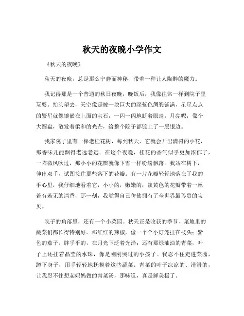 秋天的夜晚小学作文