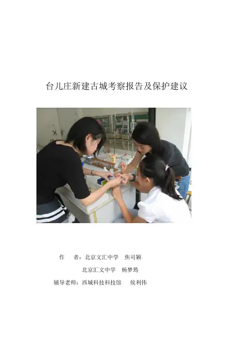 台儿庄新建古城考察报告及保护建议