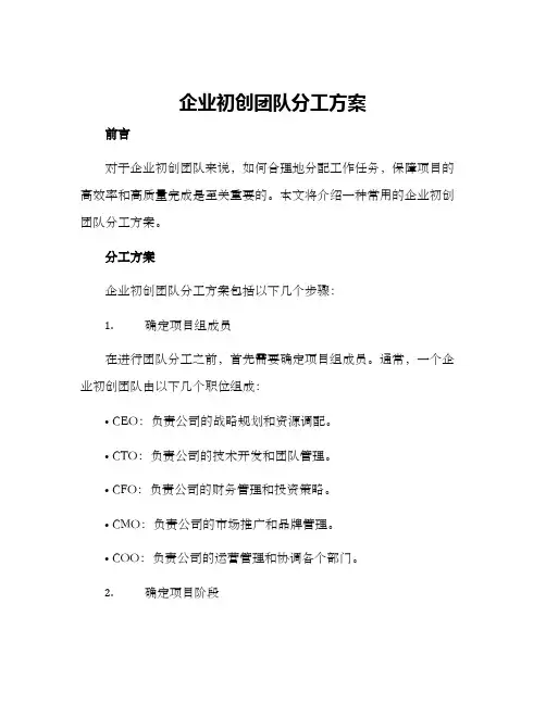 企业初创团队分工方案