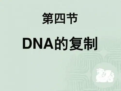 高中生物必修2第三章第三节DNA的复制