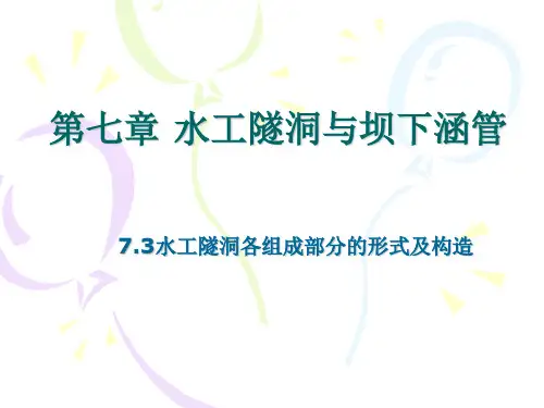 水工隧洞及坝下涵管