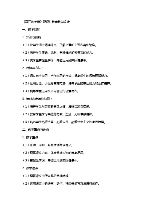 《真正的英雄》配课件教案教案教学设计