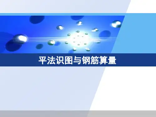 11G101-1图集(最新版)