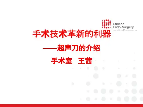 超声刀PPT课件