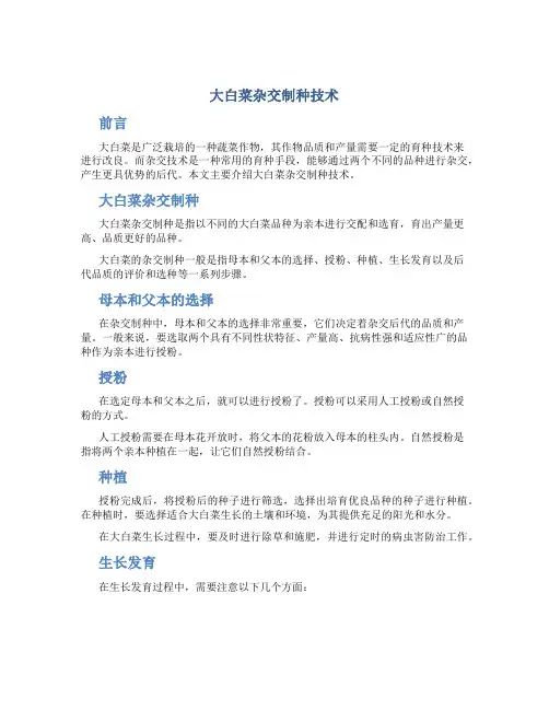 大白菜杂交制种技术