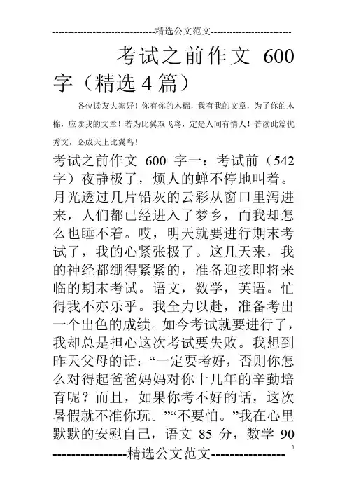 考试之前作文600字(精选4篇)