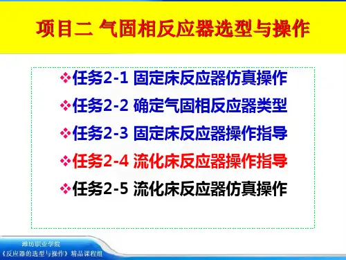 任务流化床反应器操作指导