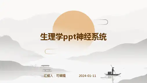 生理学PPT神经系统PPT