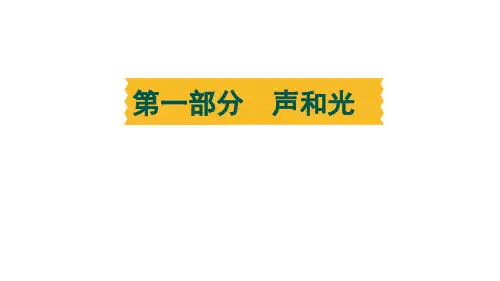 2024年中考物理复习------第2课时 光现象(1) 习题课件 