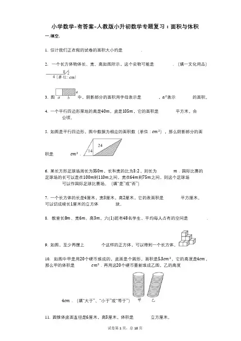 小学数学-有答案-人教版小升初数学专题复习：面积与体积