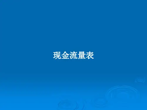 现金流量表PPT教案