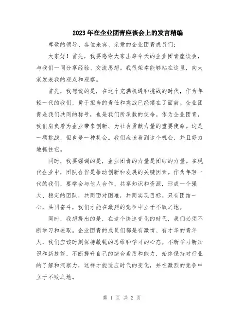 2023年在企业团青座谈会上的发言精编