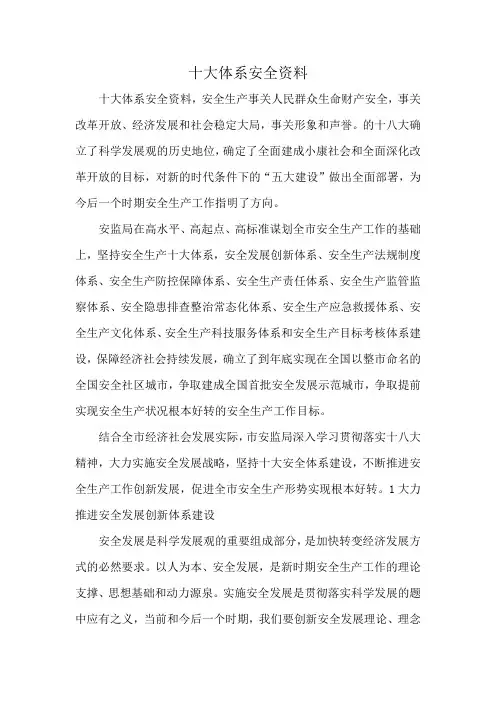 十大体系安全资料