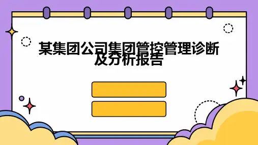 某集团公司集团管控管理诊断及分析报告
