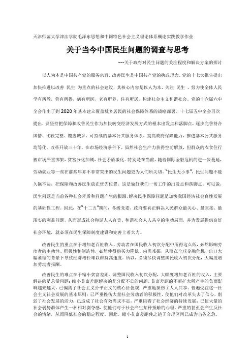 中国民生问题的调查与思考