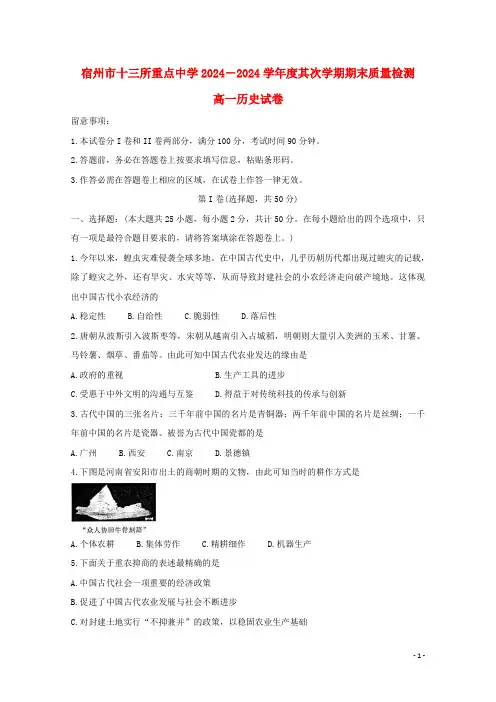 安徽省宿州市十三所省重点中学2024_2025学年高一历史下学期期末联考试题无答案