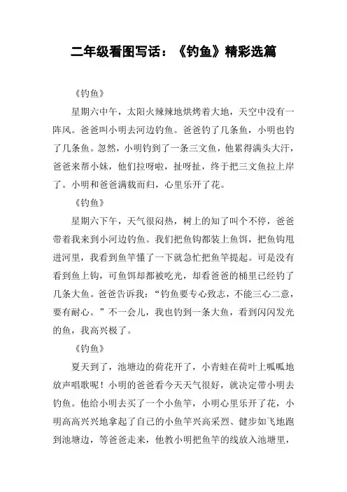 二年级看图写话：《钓鱼》精彩选篇