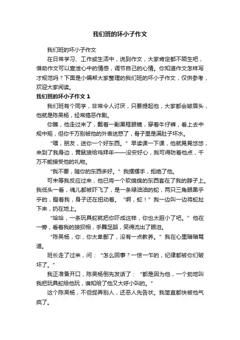 我们班的坏小子作文